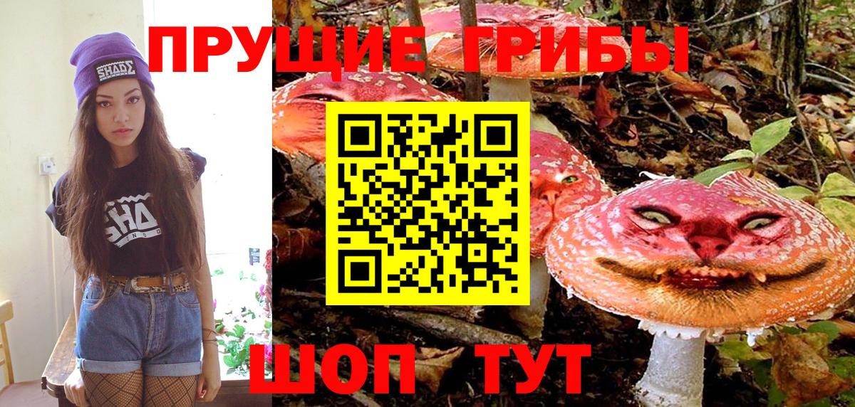 Галлюциногенные грибы мухоморы  Вход с VPN  Галлюциногенные грибы Psilocybine cubensis  Орехово-Зуево 
