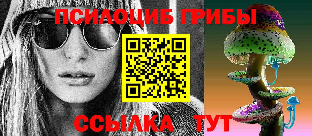 Галлюциногенные грибы Psilocybine cubensis Орехово-Зуево